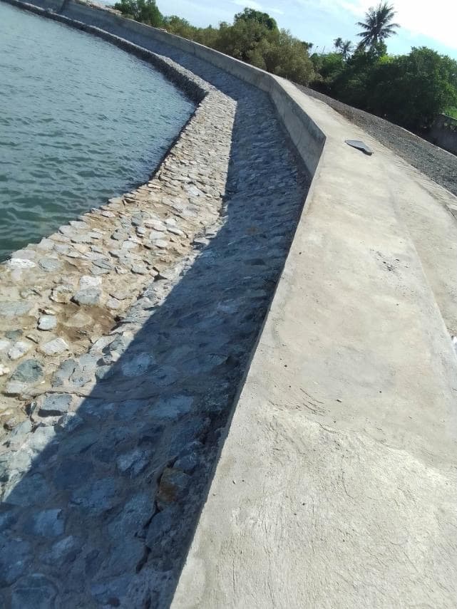 Urban High-Rise Living - Tiger's Mark Corporation