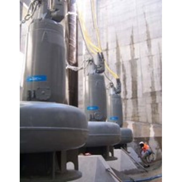 Submersible Wet & Dry Installed Pumps 300 Series